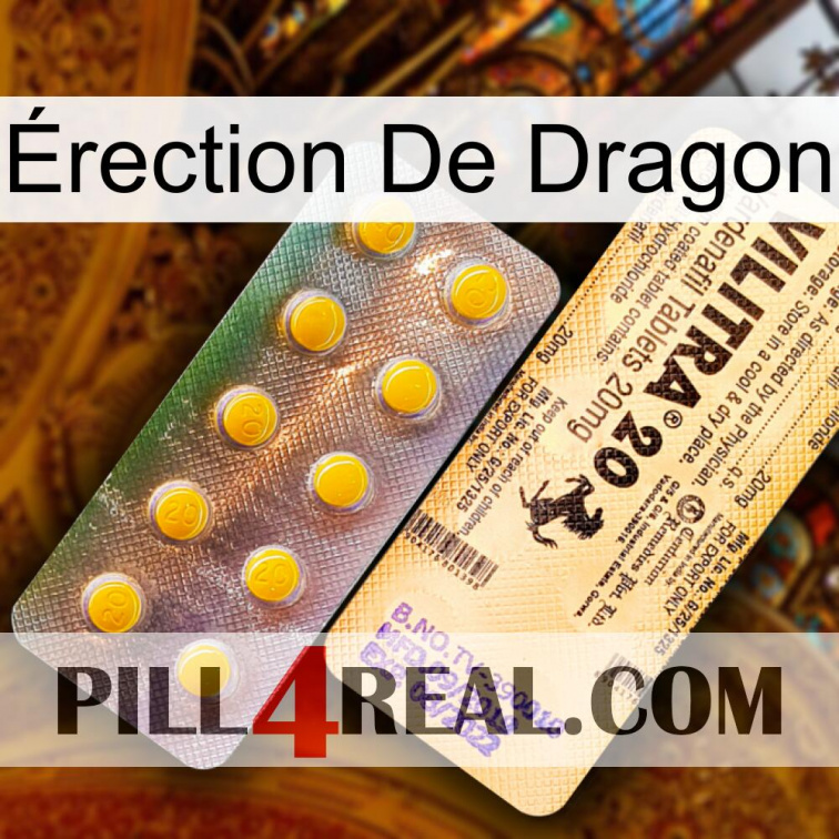 Érection De Dragon new06
